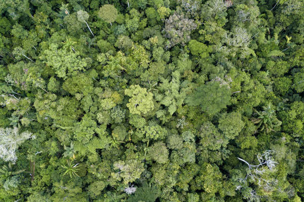 Conservação da biodiversidade com sig