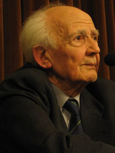 Modernidade líquida (Nova edição) - Zygmunt Bauman - Grupo Companhia das  Letras