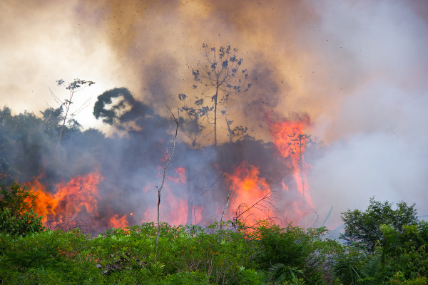 Queimada na Amazônia brasileira para área de pastagem.