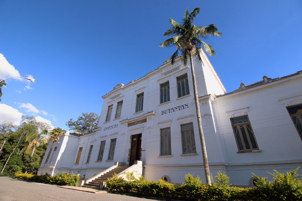 REDE DE PROTEÇÃO SOCIAL DO BUTANTÃ