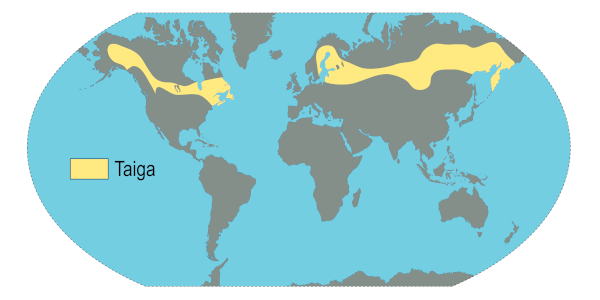 Distribuição da Taiga na superfície terrestre.