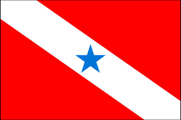 Bandeira do Pará