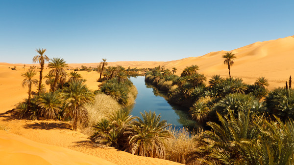 Oásis no deserto do Saara
