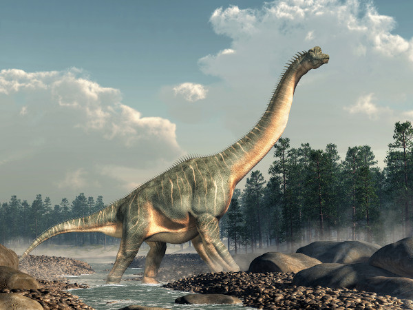 Super Dinossauros - Os Seres Mais Ferozes Que Já Habitaram a Terra em  Tamanho Gigante: Os Seres Mais Ferozes Que Já Habitaram a Terra em Tamanho