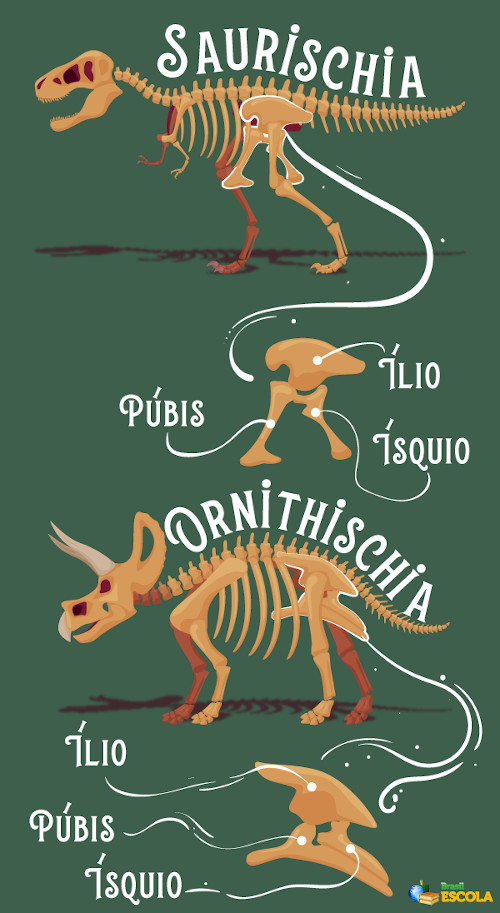 Diferenças entre as regiões pélvicas dos dinossauros das ordens Saurischia e Ornithischia.