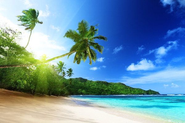 Paisagem típica do clima tropical: praia, céu azul e Sol.