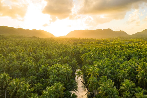 Rio Amazonas correndo pela Floresta Amazônica enquanto o Sol se põe no contexto do clima equatorial, o clima da região Norte.