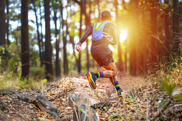 A toda velocidade: Saiba tudo sobre as modalidades de corrida de