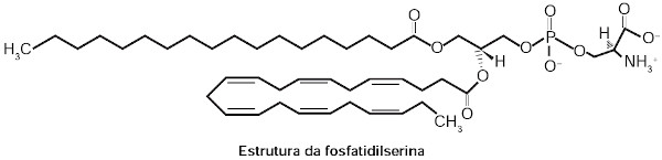 Ilustração da estrutura da fosfatidilserina em uma questão do Enem 2012 (segunda aplicação) sobre ligação iônica.