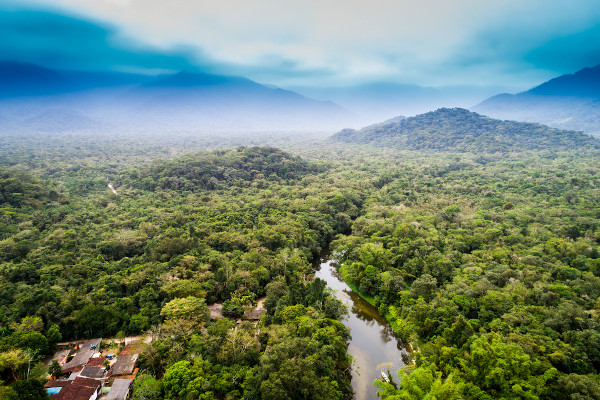 Vista superior da Floresta Amazônica, a floresta equatorial presente em nove países da América Latina.