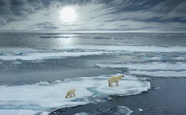 Ursos polares em área de derretimento de geleira, consequência do aquecimento global, um dos principais problemas ambientais.