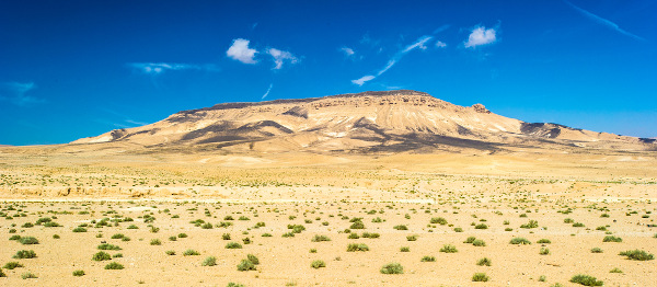 Região do Deserto Sírio, um dos maiores desertos do mundo.