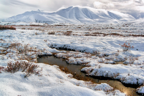 Região da tundra do Ártico, um dos maiores desertos do mundo, recoberta por neve no inverno.