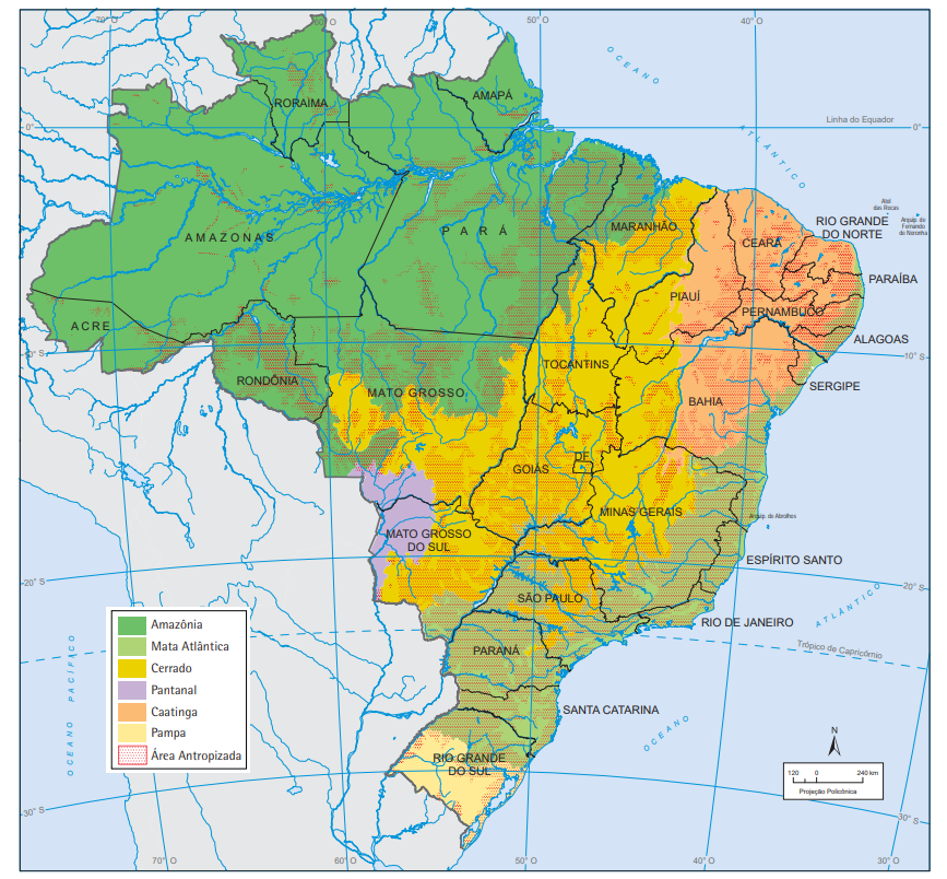 Brasil: Vegetação - Disciplina - Geografia