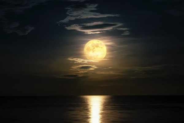 Superlua, um fenômeno que, em 2023, ocorreu simultaneamente ao fenômeno da Lua azul.