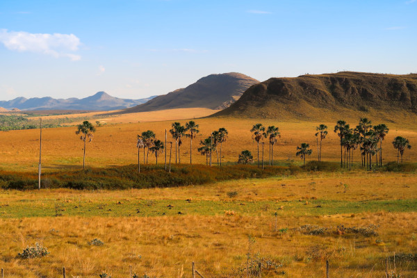 Paisagem típica da região Centro-Oeste, na qual predomina o clima tropical.