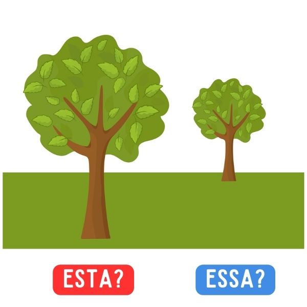 Duas árvores indicadas por flexões dos pronomes este e esse.