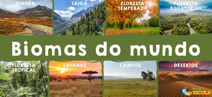 Biomas do mundo: Tundra, Taiga, Floresta Temperada, Floresta Equatorial, Floresta Tropical, Savanas, Campos e Desertos.