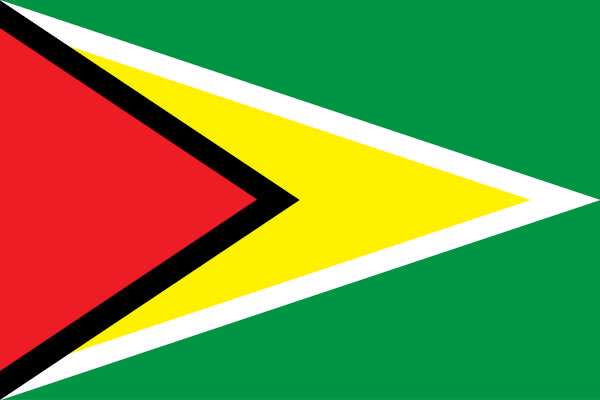 Bandeira da Guiana, um dos elementos mais marcantes da história do país.