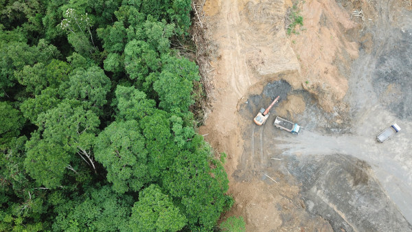 Foto aérea de desmatamento, um dos problemas ambientais brasileiros.