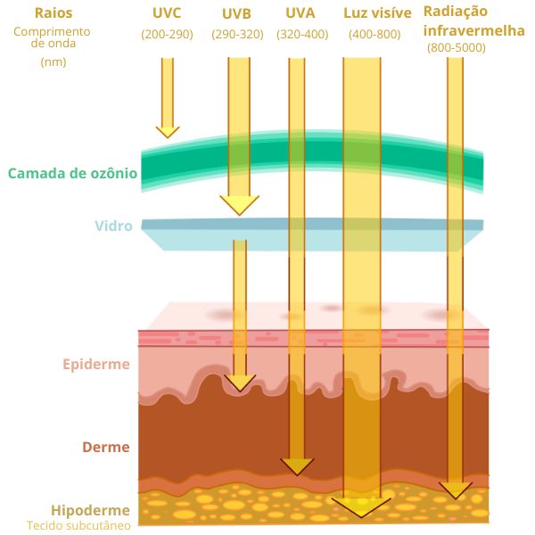 Capacidade de penetração da radiação ultravioleta, bloqueada na pele com o uso de produtos com fator de proteção solar (FPS).