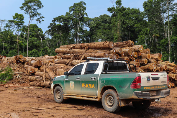 Carro do Ibama ao lado de toras de madeira em texto sobre problemas ambientais brasileiros.