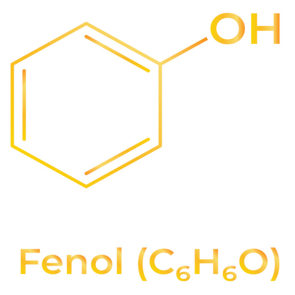 Fórmula estrutural condensada do fenol, uma das funções orgânicas oxigenadas.