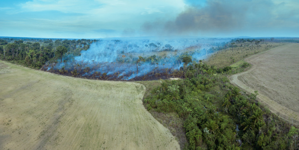  Cenário de desmatamento e de queimada, uma das principais causas do aquecimento global no Brasil.