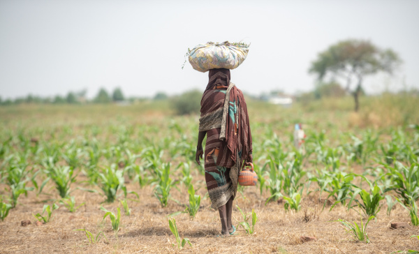 Mulher caminhando em um ambiente de plantação em Chade.