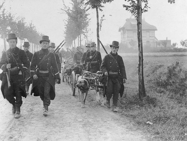 Tropas belgas na Batalha das Fronteiras.