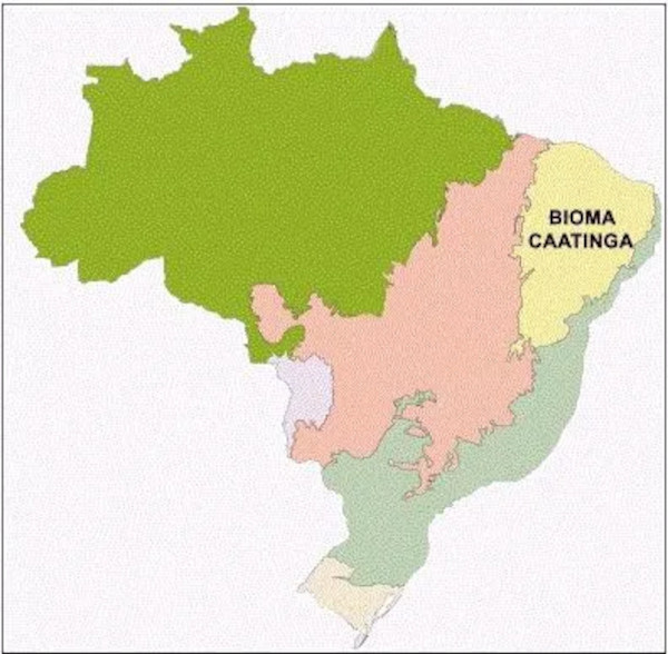 Mapa mostrando a localização da Caatinga no Brasil.