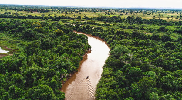 Paisagem natural no bioma Pantanal, um dos biomas brasileiros.