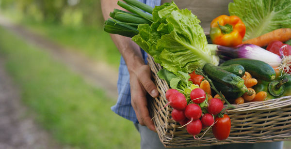 Pessoa segurando cesta com vegetais, produtos da zona rural.