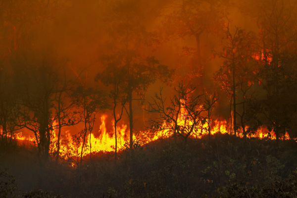 Parte da Floresta Amazônica em chamas, situação típica das queimadas na Amazônia.