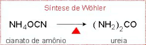 Reação química da síntese da ureia, parte importante da Química Orgânica.