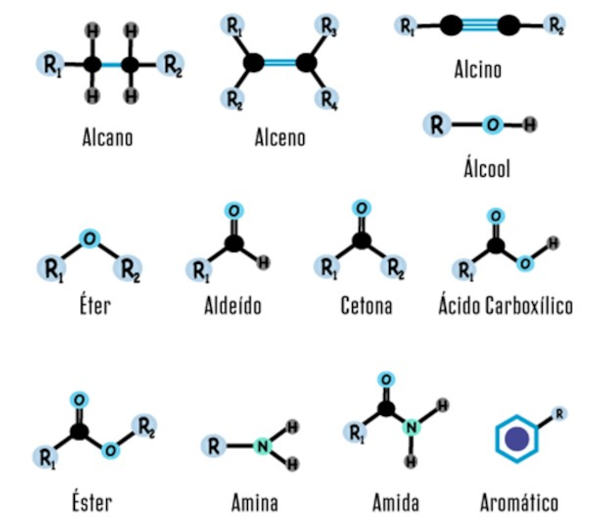 Fórmulas estruturais das principais funções orgânicas.