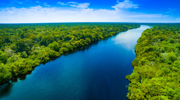 Floresta Amazônica e rio Amazonas (bioma Amazônia), uma alusão aos recursos naturais biológicos e hídricos.