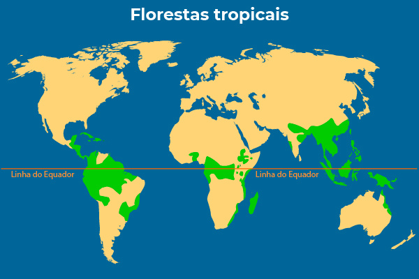 Mapa-múndi mostrando a localização das florestas tropicais no mundo.
