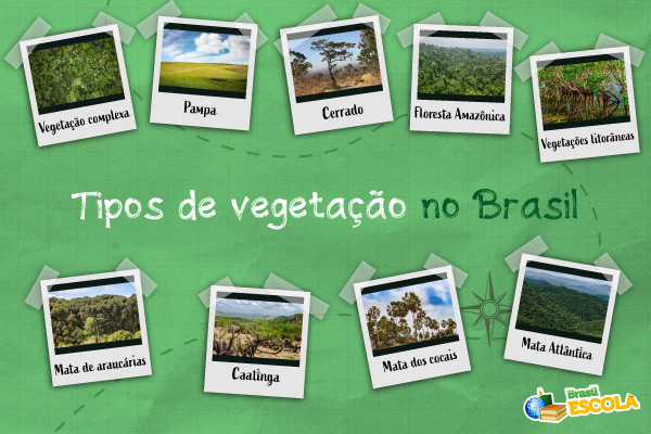 Tipos de vegetação no Brasil.