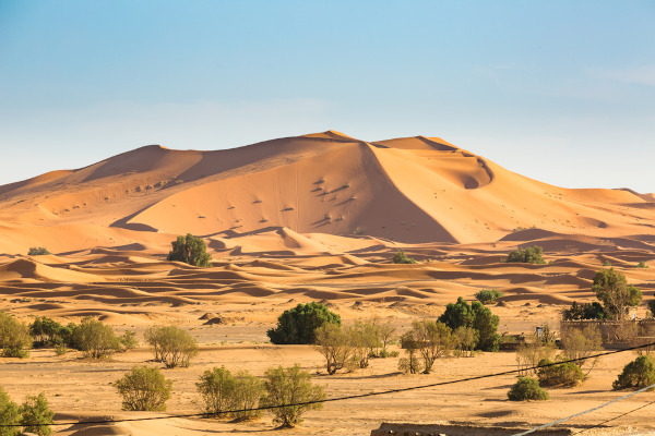 Paisagem com árvores de médio porte, arbustos e cactos, a vegetação típica do clima desértico.