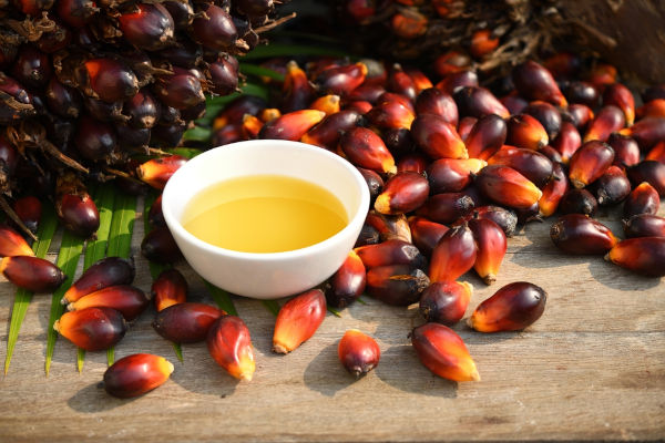 Tigela com azeite de dendê rodeada por frutos do dendê, em superfície de madeira.