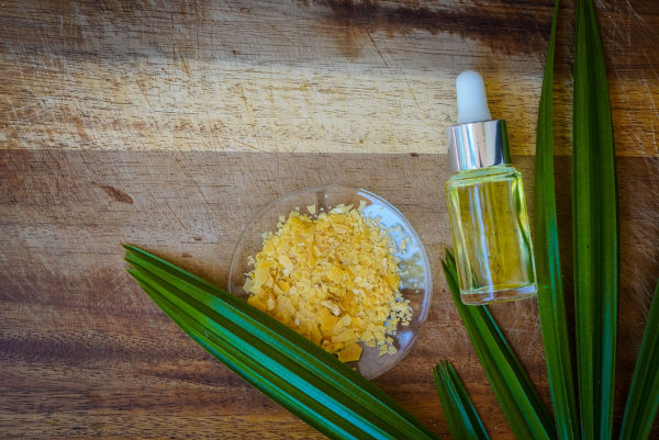 Lascas de cera e frasco com óleo de carnaúba, exemplo de produto do extrativismo vegetal.
