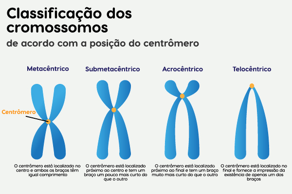Ilustração de 4 tipos de cromossomos e a descrição de suas características.