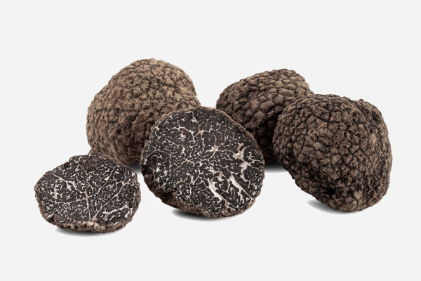 Trufas, fungos ascomicetos comuns na culinária.