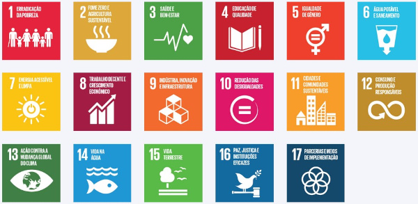 17 Objetivos de Desenvolvimento Sustentável da Agenda 2030. [imagem_principal]