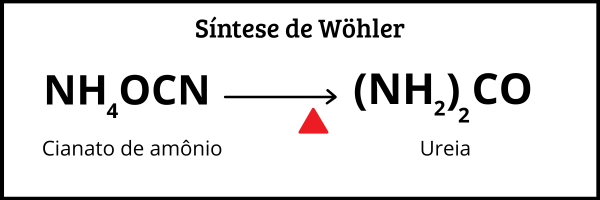 Reação química da síntese da ureia, parte importante da Química Orgânica.