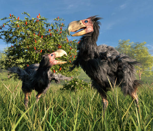 Animais que viveram durante o Paleoceno.