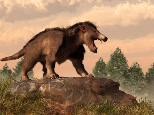 Representação 3D de um Arctocyon, animal do Paleoceno.