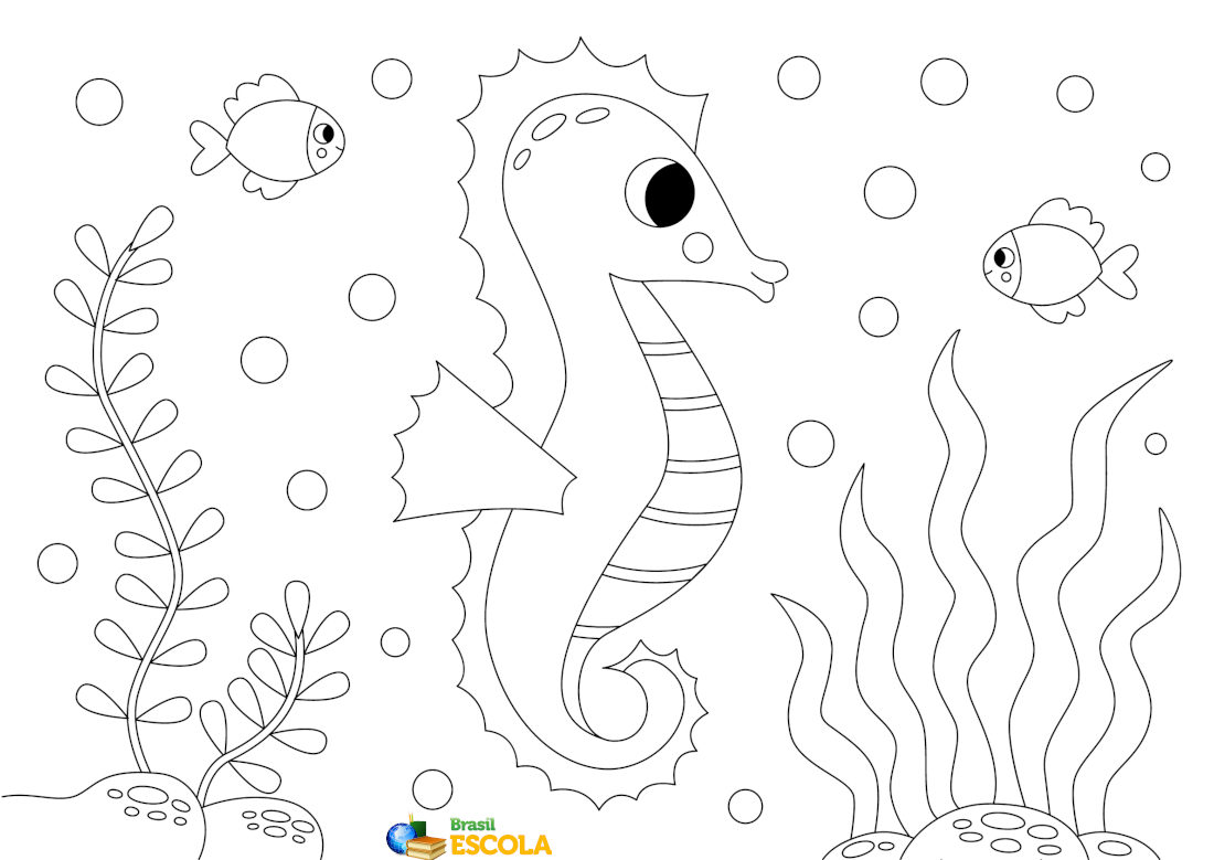 desenho de cavalo-marinho para pintar