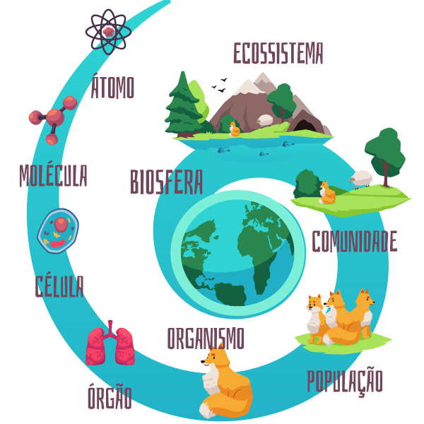 Ilustração da biosfera mostrando ecossistema, comunidade, população, organismo, célula e átomo. [imagem_principal] Fonte hidrotermal de águas profundas, um componente da hidrosfera.